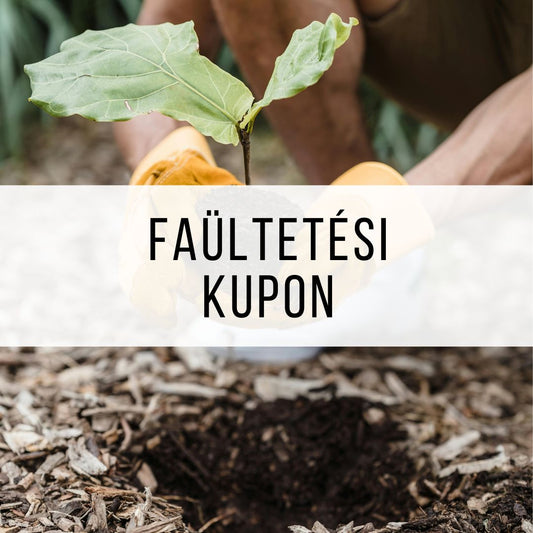 Faültetési kupon